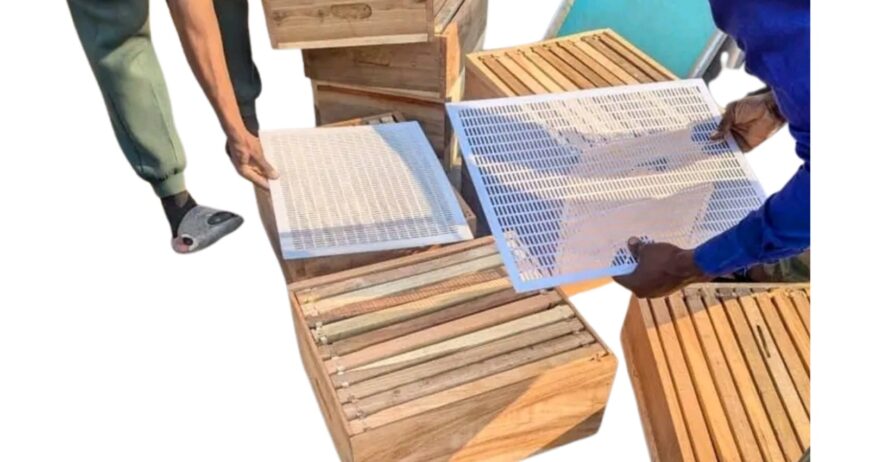 Wooden Langstroth Beehive Box